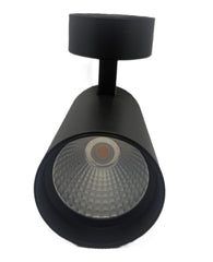 Apala M Adjustable Surface Mount Downlight