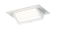 40W 5000K Adjustable Shop Light – White